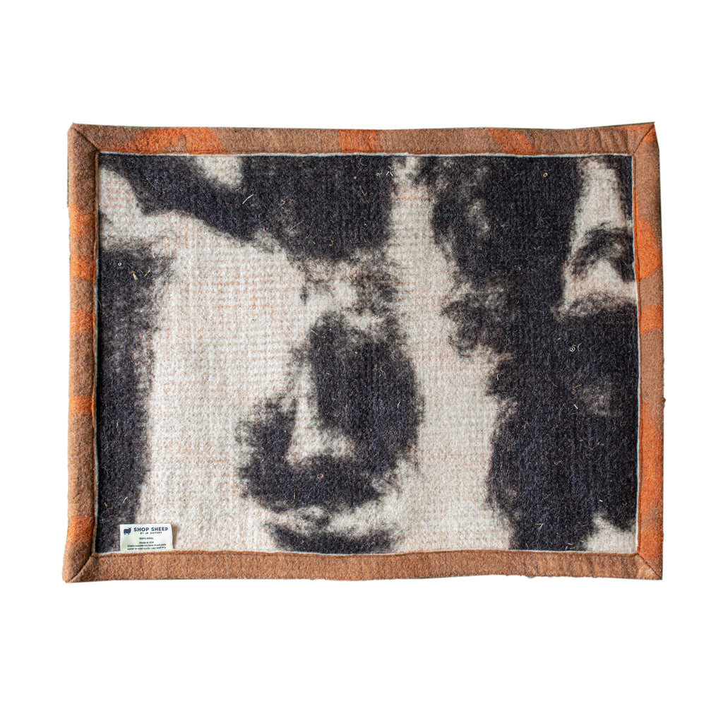 100% Pure Wool Felted Pet Mat - Marmalade