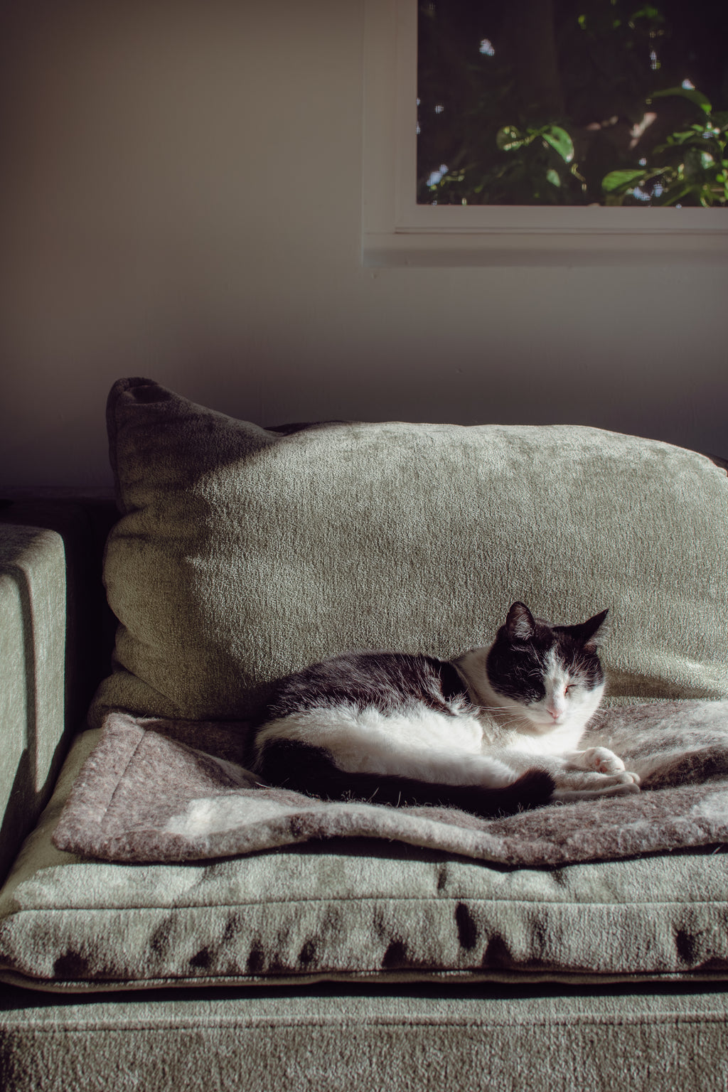 Cat Mat Felted Wool - Shetland Cloud