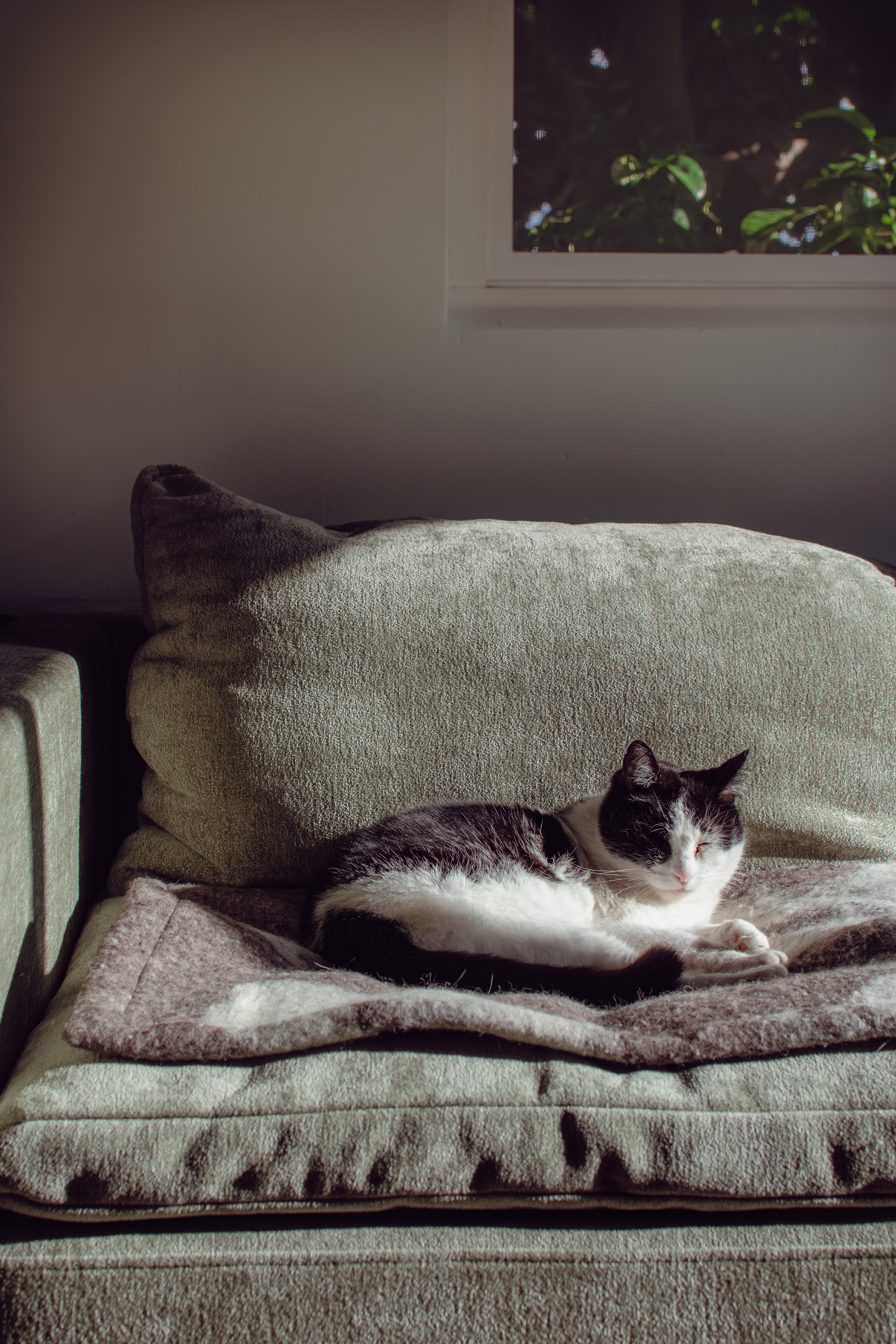 Cat Mat Felted Wool - Shetland Cloud