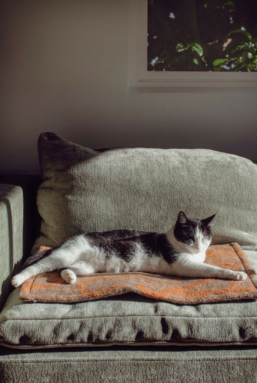 100% Pure Wool Felted Pet Mat - Marmalade